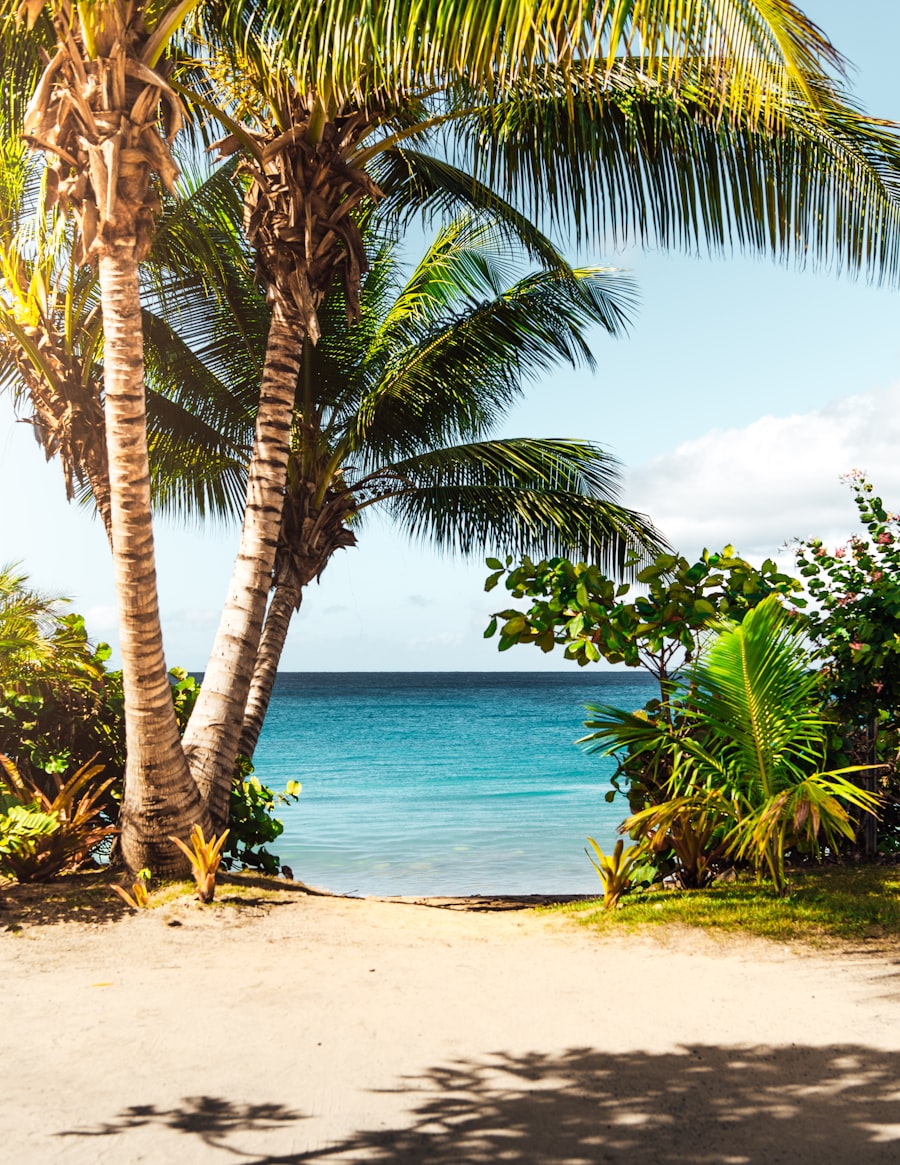 How to Travel Comfortably on a Budget